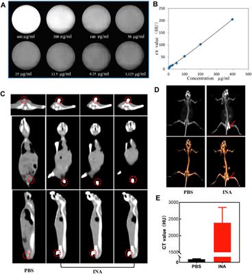 Iodine-Rich Nanoadjuvants for CT Imaging–Guided Photodynamic Immunotherapy of Breast Cancer